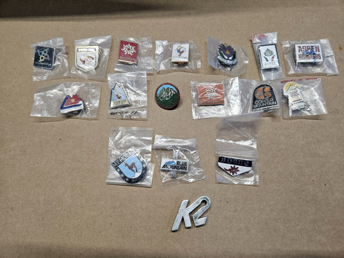 Skier pin collection - pin, in